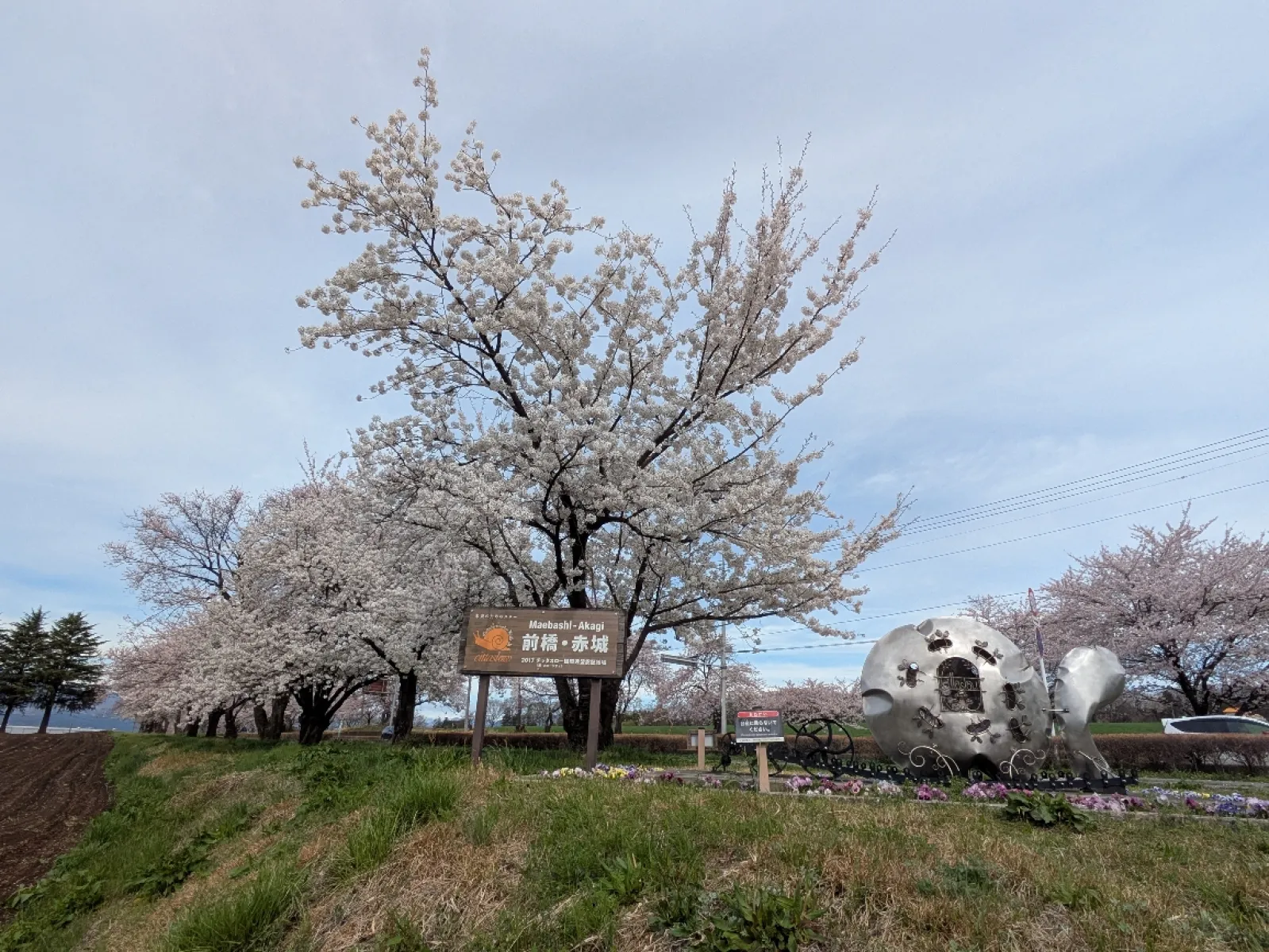 近くに謎のでんでん虫のオブジェが桜を見守ってました