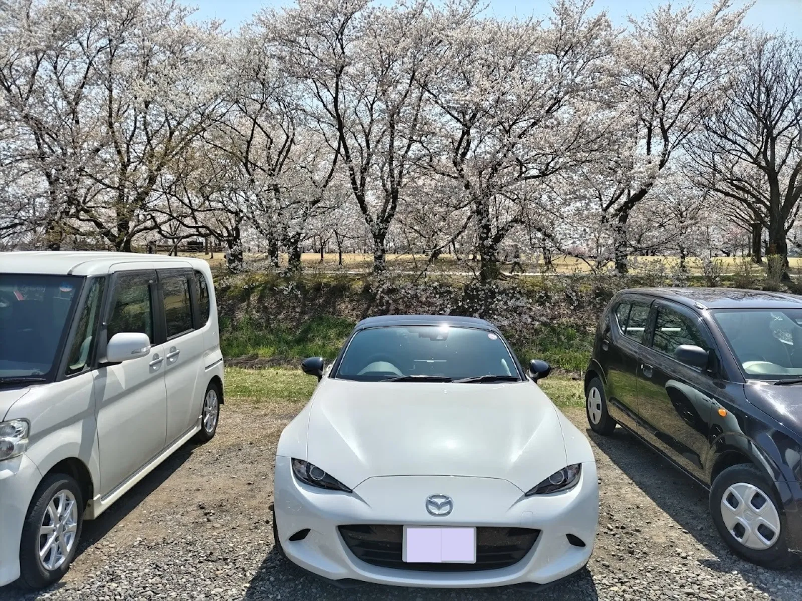 車は駐車場に置くしかないのですが・・・(;'∀')