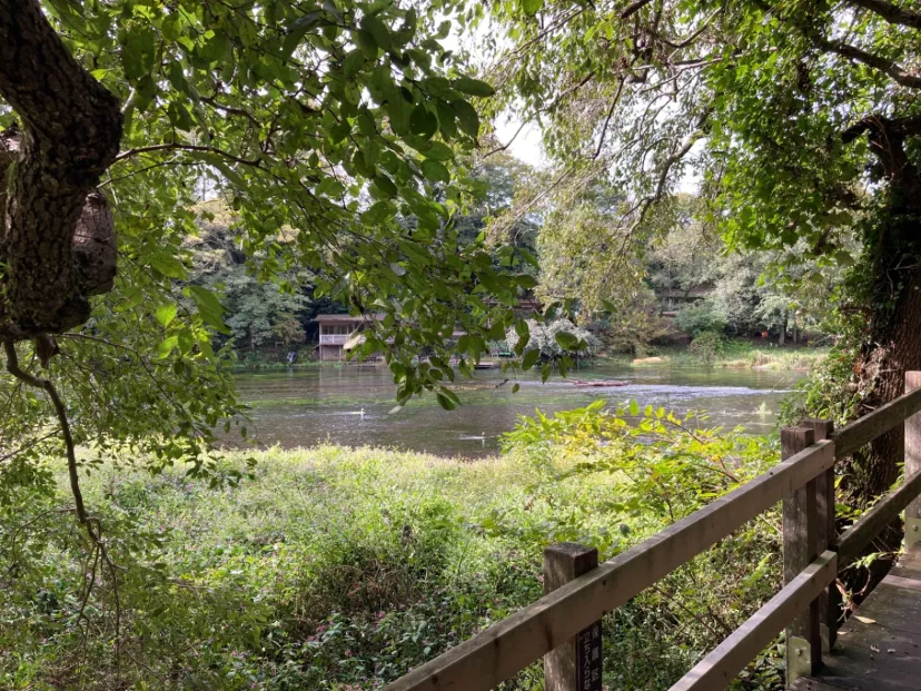ND 柿田川湧水　東洋一
