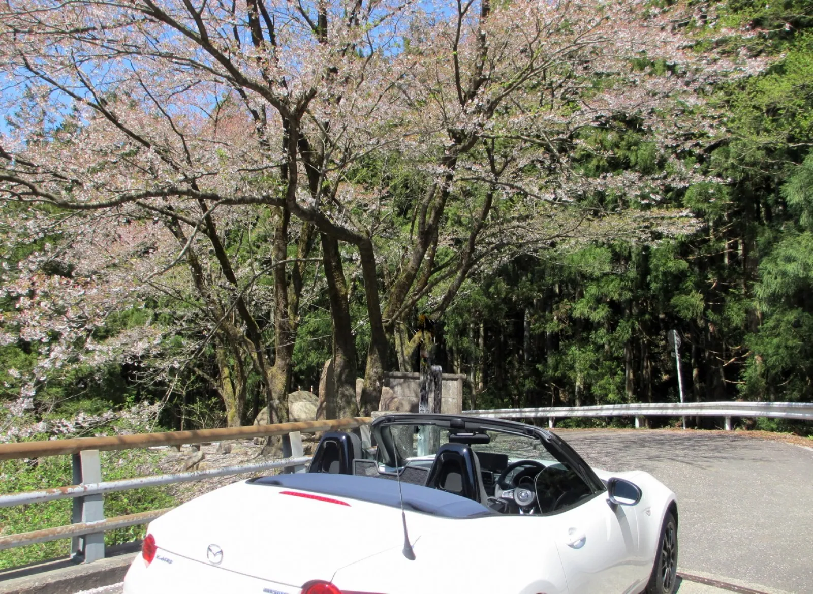 この橋の後ろ側が自然歩道になります。