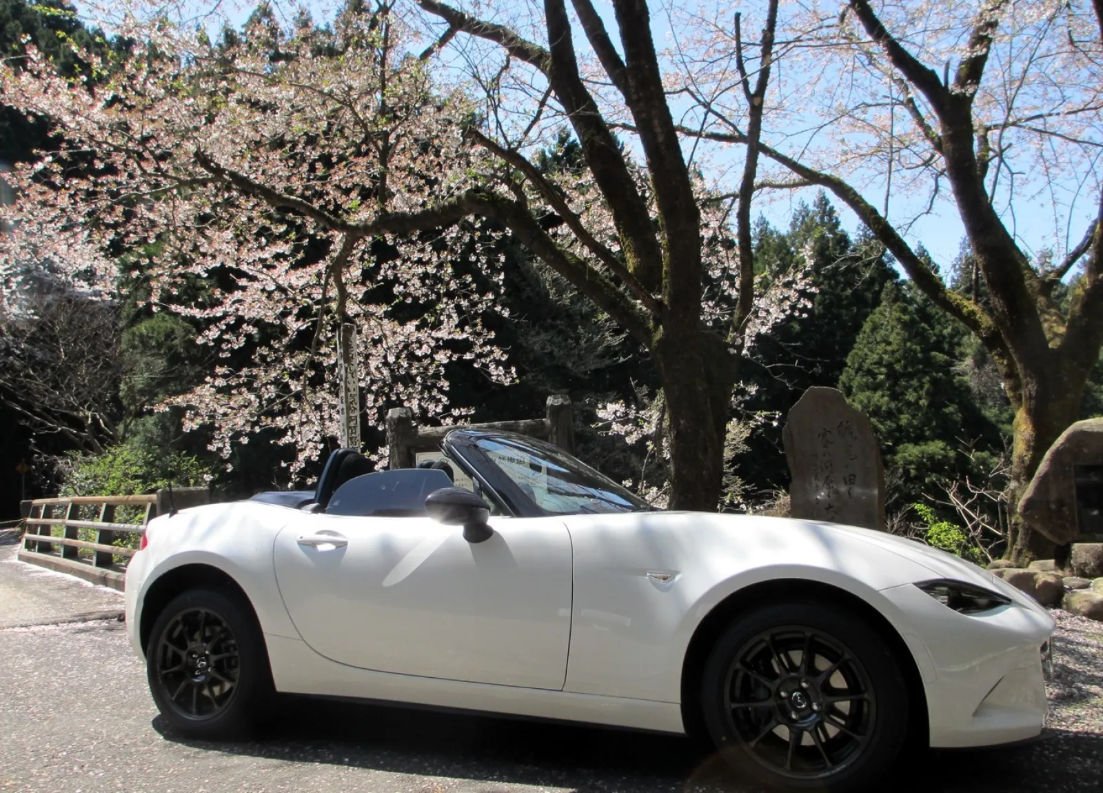 まだ納車後１０日です。
どノーマルです。