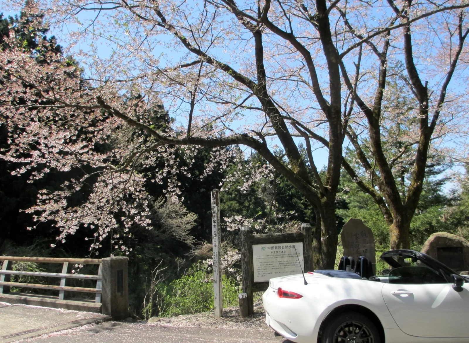 中部北陸自然歩道の入り口ですね。
ここからは車は入れません。