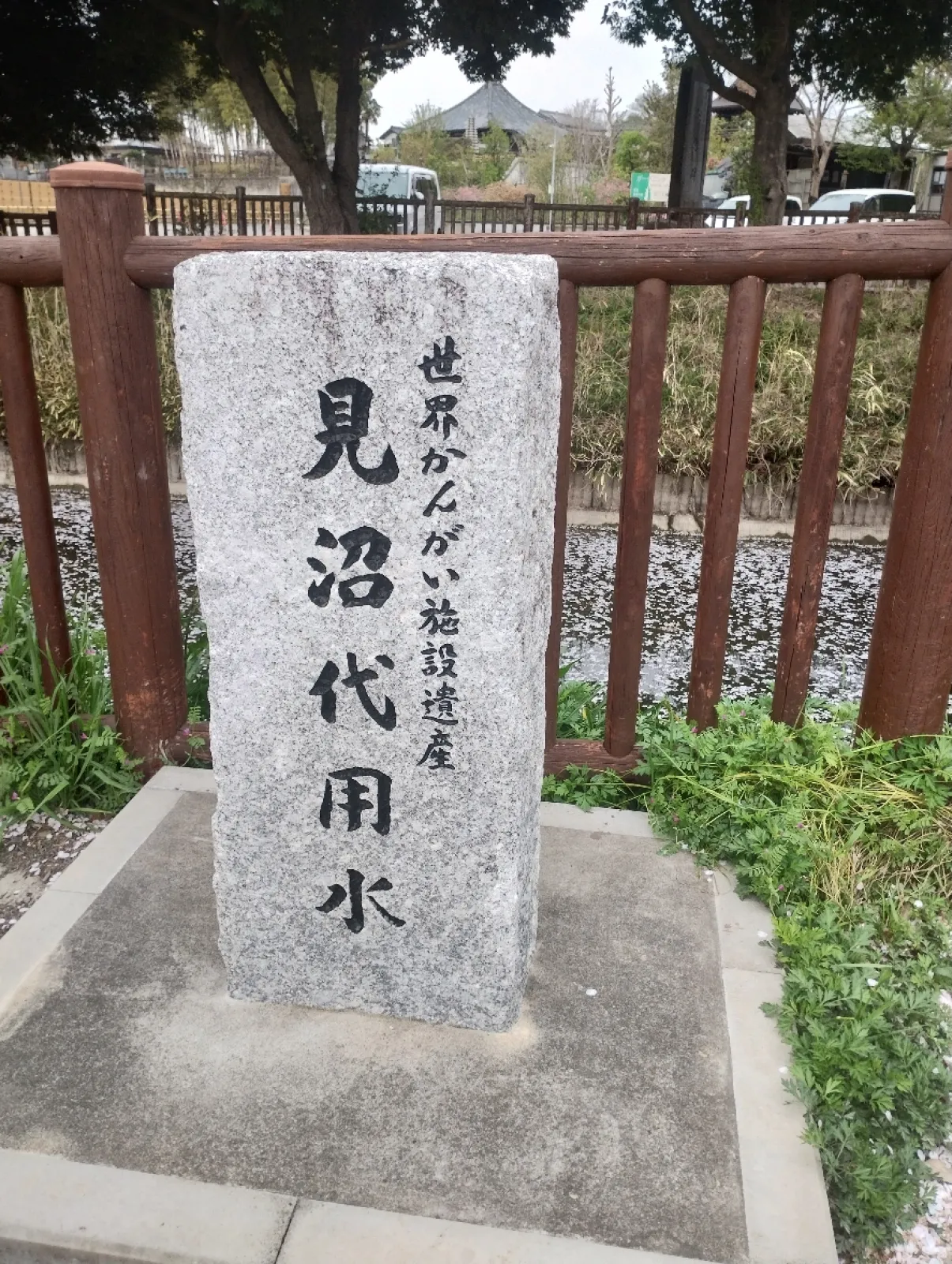 葉桜手前。今年最後かな？