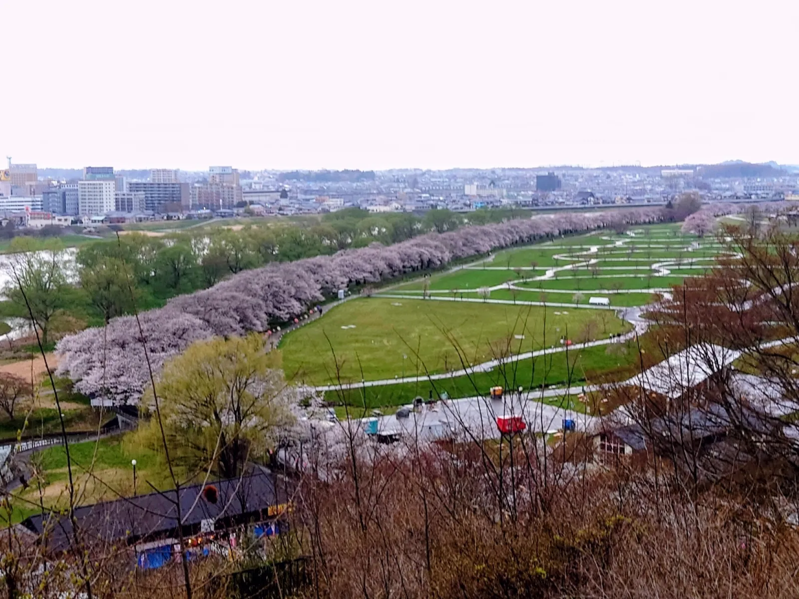 岩手県北上市にある桜の名所、北上展勝地
日本の桜の名所100選、みちのく三大桜名所に選ばれる。
２kmの桜並木が有る。
写真が向いの北上市立博物館の展望台から