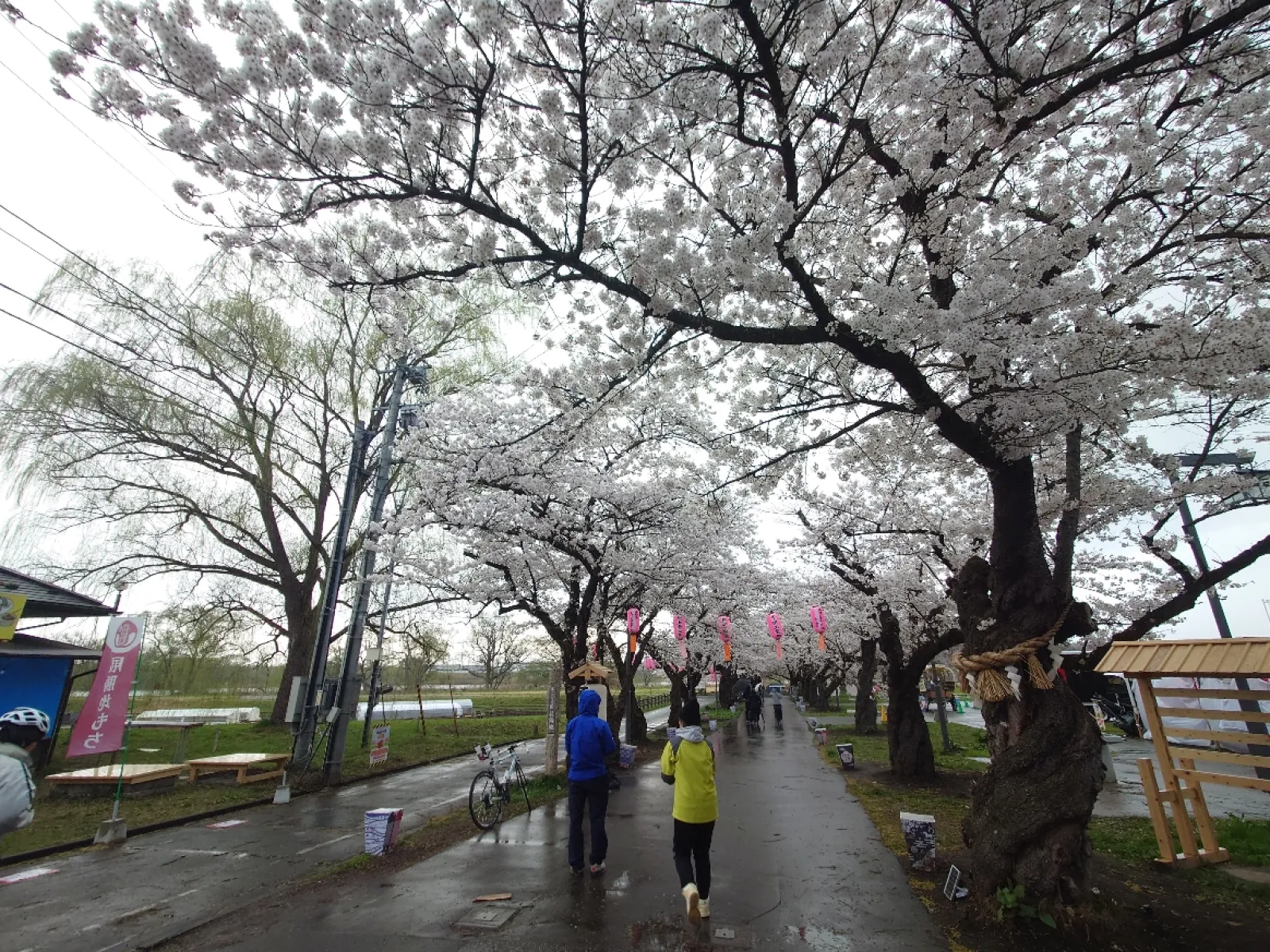 午前８：００までは駐車場は無料だけど、それ以降は駐車場代金¥1,000円がかかります。
現金は不可、カードか電子マネーの支払いです。