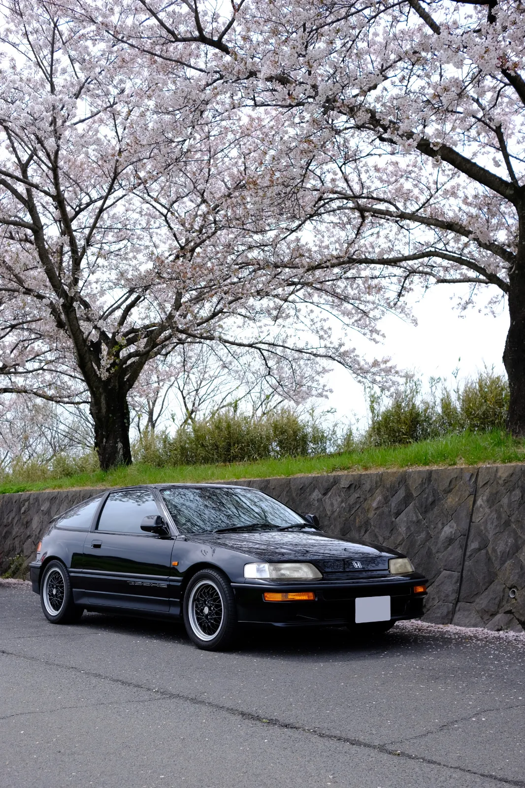 MOBILAのアカウントを作ったので、テストを兼ねて、とりあえず最初の投稿をしてみます。

毎年、年度末から年度はじめにかけてはバタバタしていて、桜を見に行くのを忘れてしまっていることも多いのですが、今年は弟に車とカメラを預けて、まっさかさん主催の撮影会にお邪魔して撮影してもらってきました。（私自身は都合がつかなかったため、参加できていませんので、撮影は弟がしたものです）。

なお、撮影会の様子については、まっさかさんのみんカラのブログ記事
https://minkara.carview.co.jp/userid/487222/blog/49028832/
で拝見できます。
カプチーノをはじめとした軽スポーツが中心の集まりですが、他の車種でも歓迎してくださっています。

来年は自分で参加したいですね