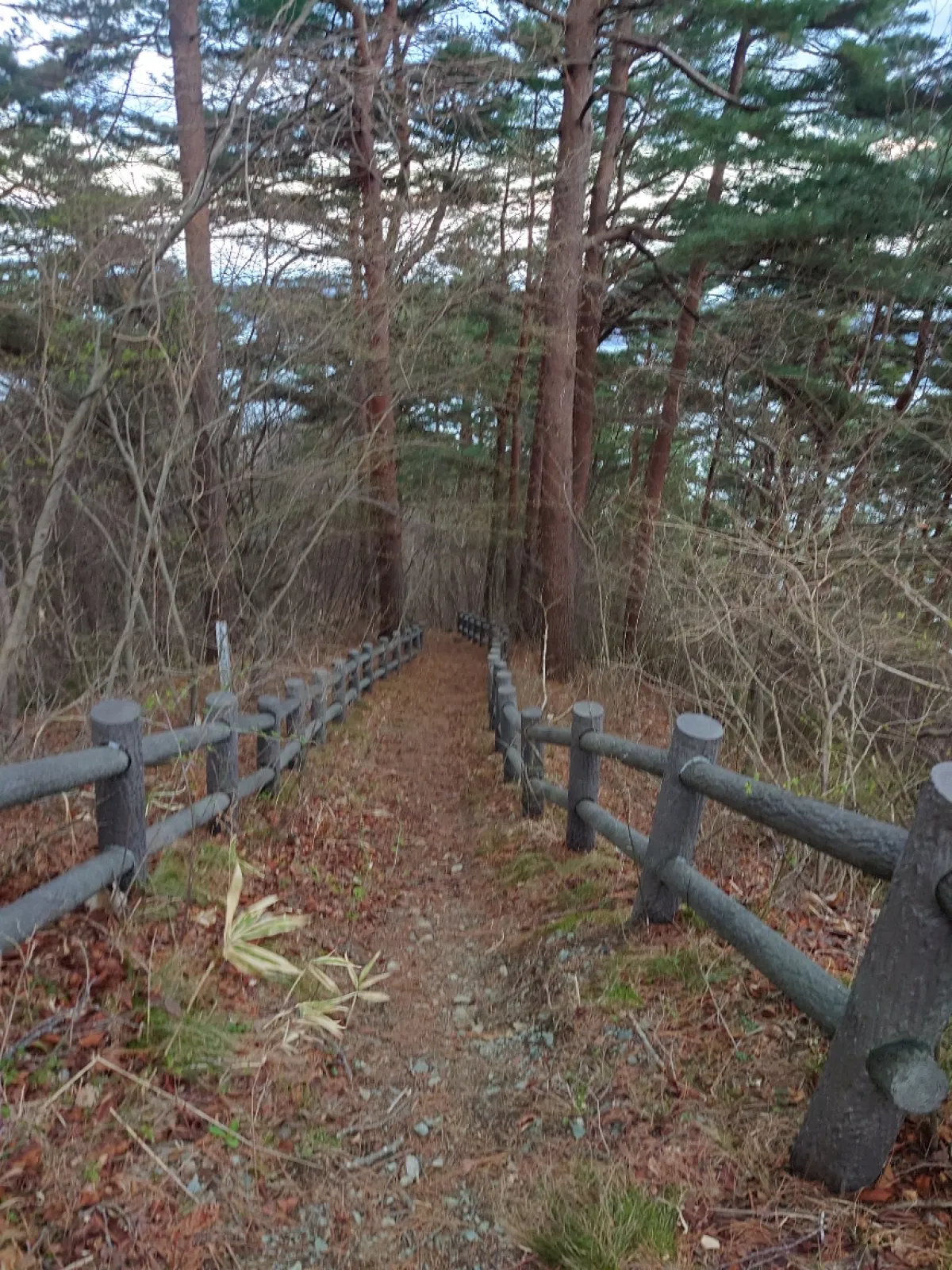 こんな道を進みます。
帰りを考えるとちょっとげんなり。