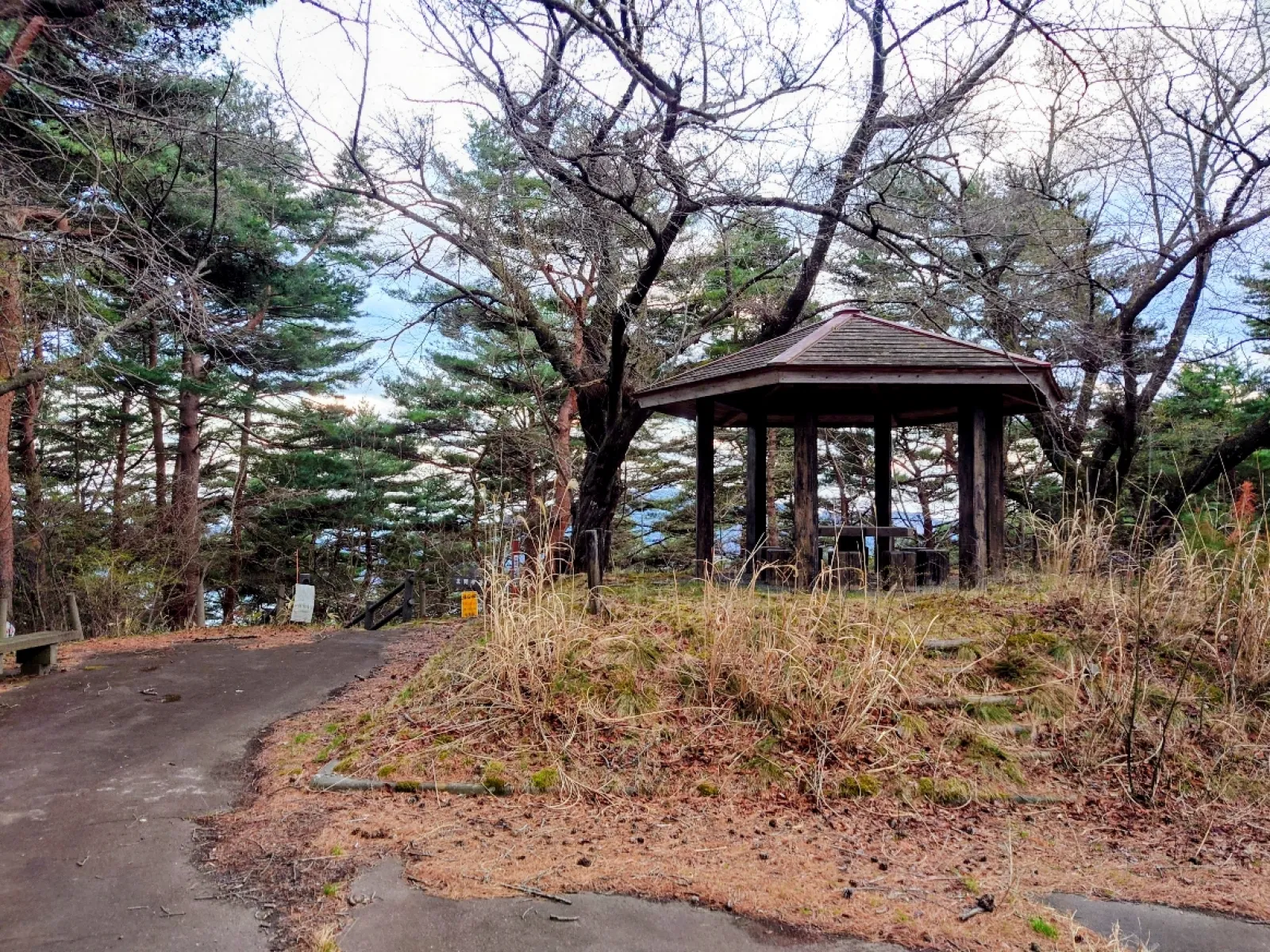 この東屋の脇の道を下って行くと木製の展望台が見えてきます。