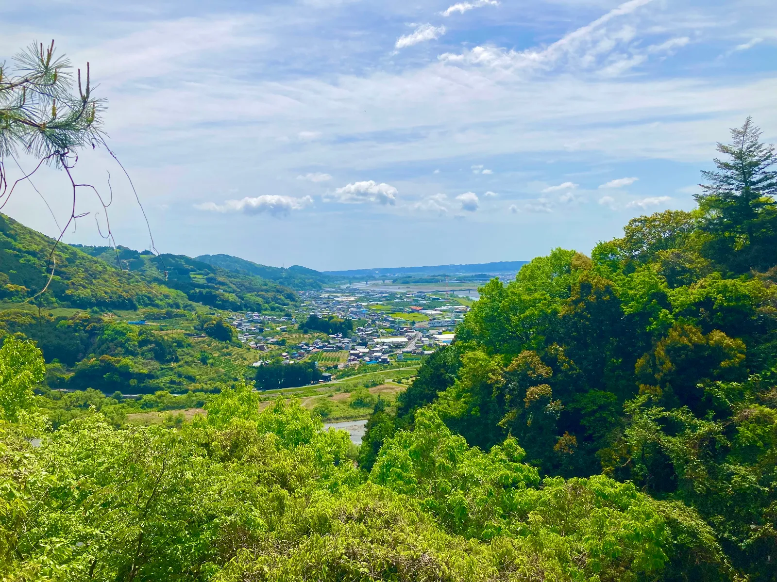 素晴らしい活力があふれている。いいですね。