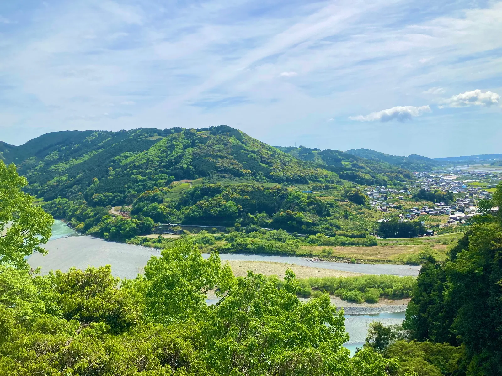 大井川沿いの木々も萌え進んでいます。