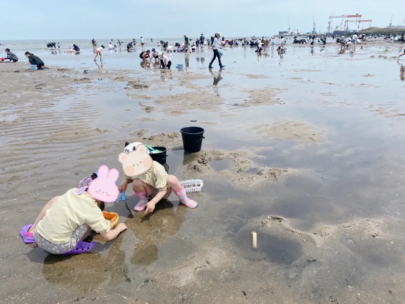 大漁！！🌊御殿場海岸で潮干狩り