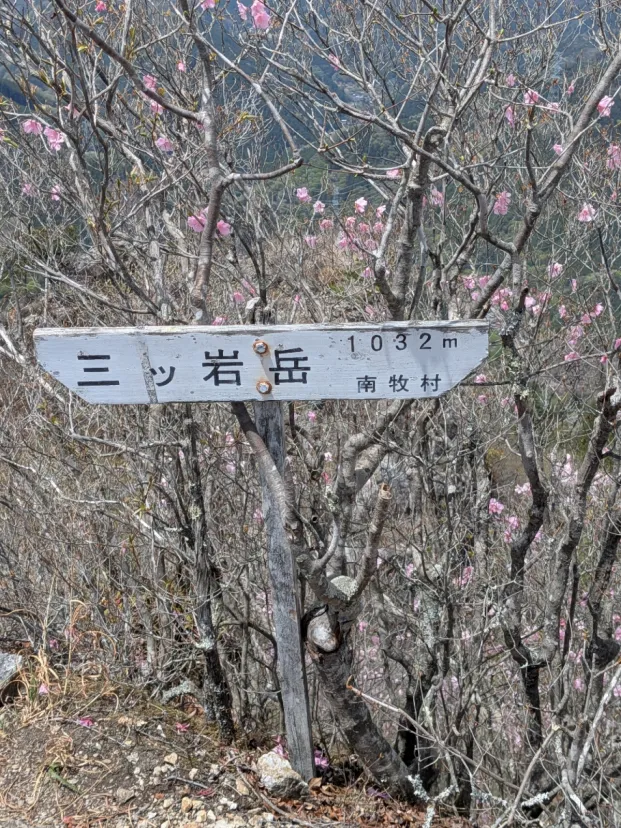 アカヤシオの三ツ岩岳に