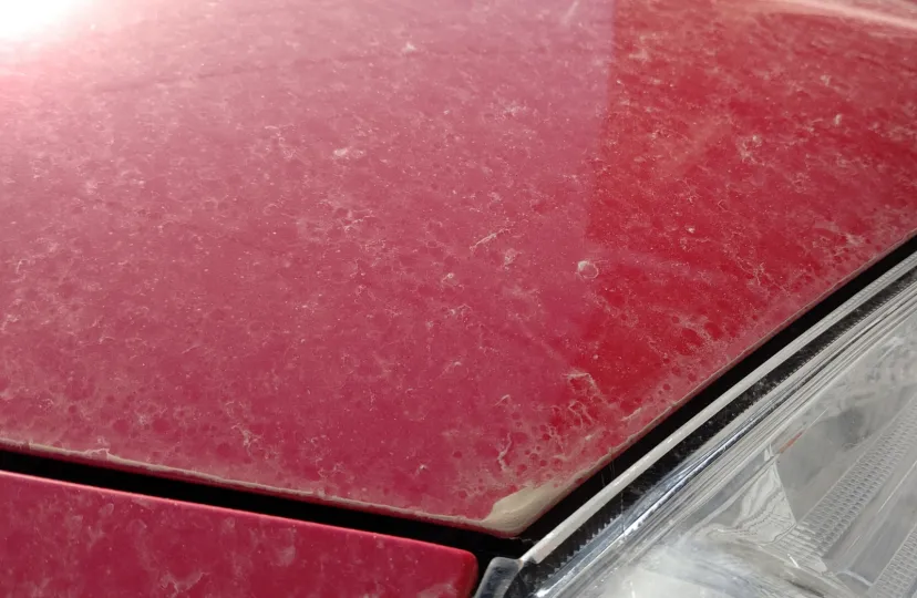 黄砂がやってくる