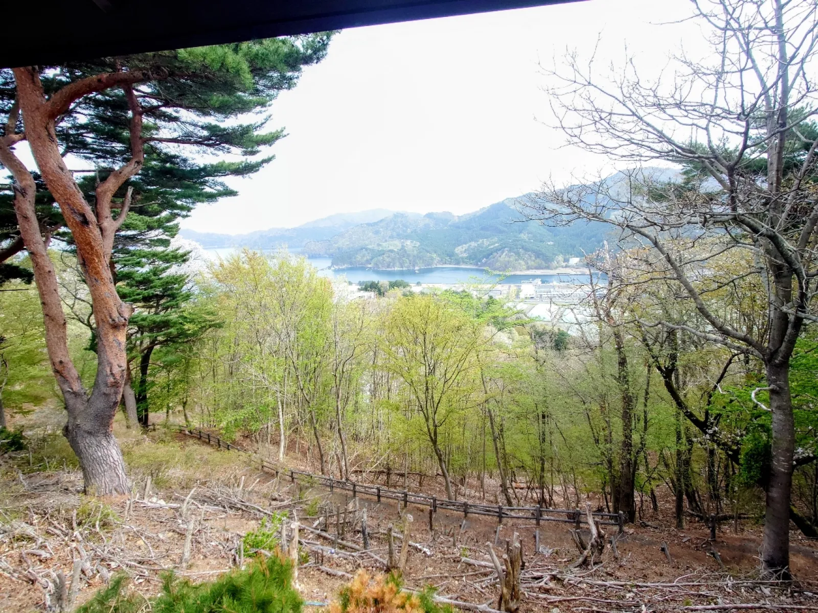 そんなに眺めは良くありません。