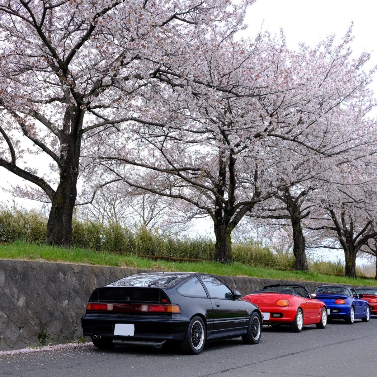 ※写真は本文の内容とは関係ありません。最初の投稿「とりあえず」で触れた撮影会のときの一コマを正方形にトリミングしてみたものです。

岩手県の山林火災はなかなか鎮静化せず、心配ですね。被災された方にはお見舞い申し上げます。

私の住む地域では少し涼しくなってきました。大型連休前のバタバタする時期なので、風邪などひかないよう気をつけたいと思います。

さて、MOBILAを始めてもうすぐ二週間ほど経ちますので、今回は車特化型サイトをめぐる話題をとりあげます。
みんカラをやめた後、新たにMOBILAを選らんだ経緯と、実際にMOBILAを使ってみた感想などをざっと振り返ってみます。