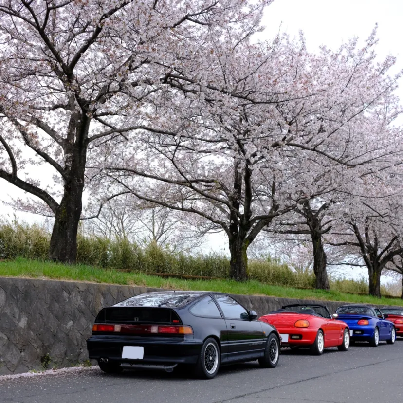 車のSNS・コミュニティサイト