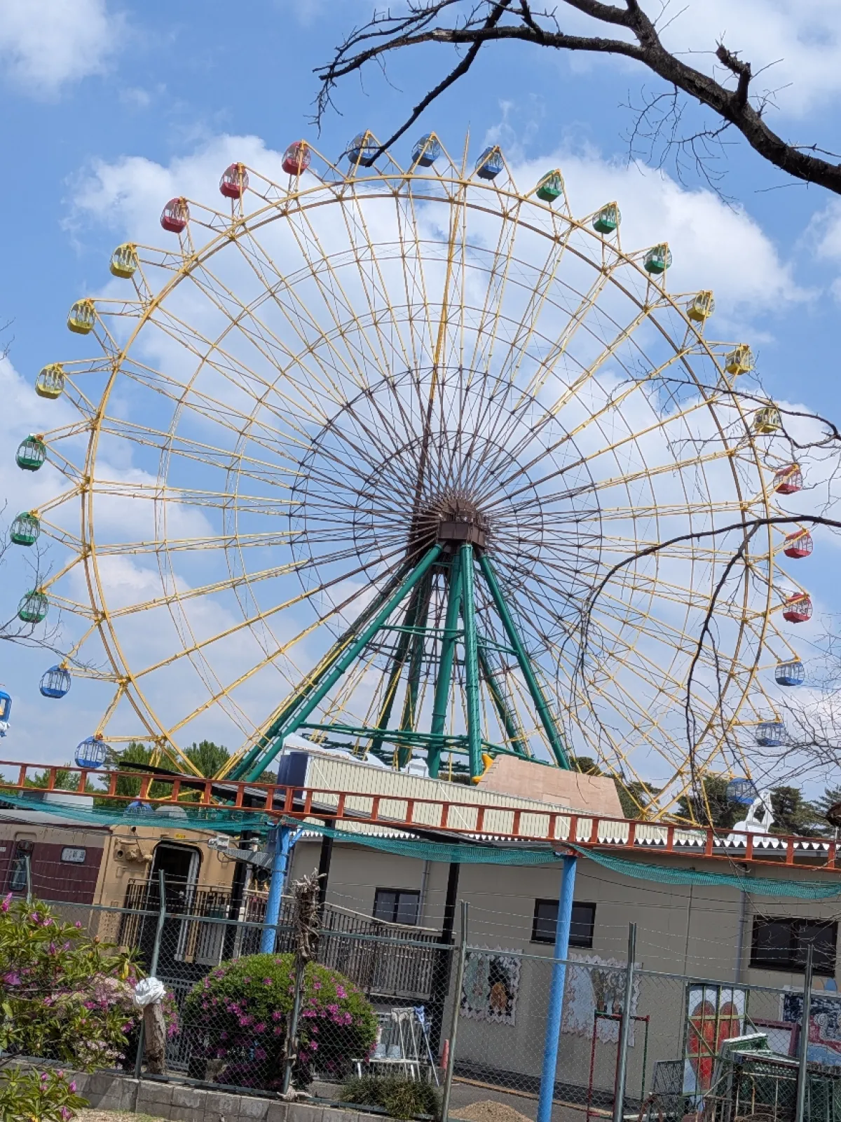 伊勢崎市華蔵寺公園🌸ツツジも終盤です。
伊勢崎市の「Auto Mirai 華蔵寺公園遊園地」は、NHK BSプレミアムドラマ『家族だから愛したんじゃなくて、愛したのが家族だった』のロケ地としてエキストラ撮影が行われた実績があります

中村倫也（３７）主演の連続ドラマ『Ｓｈｒｉｎｋ-精神科医ヨワイ-』でも観覧車のシーインで