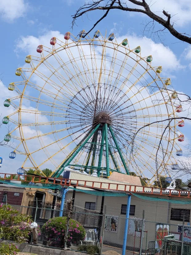 伊勢崎市の華蔵寺公園のツツジを