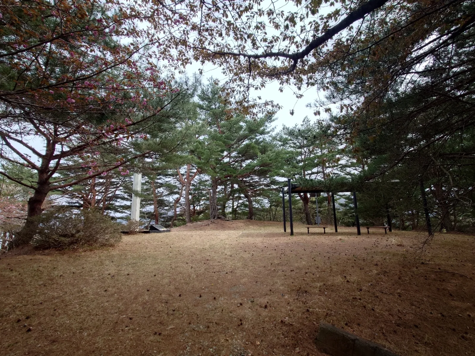 頂上には藤棚みたいな場所があるけど木が茂ってしまって展望はほぼ無い。
そんなもんだ、期待は裏切られる為に存在する。