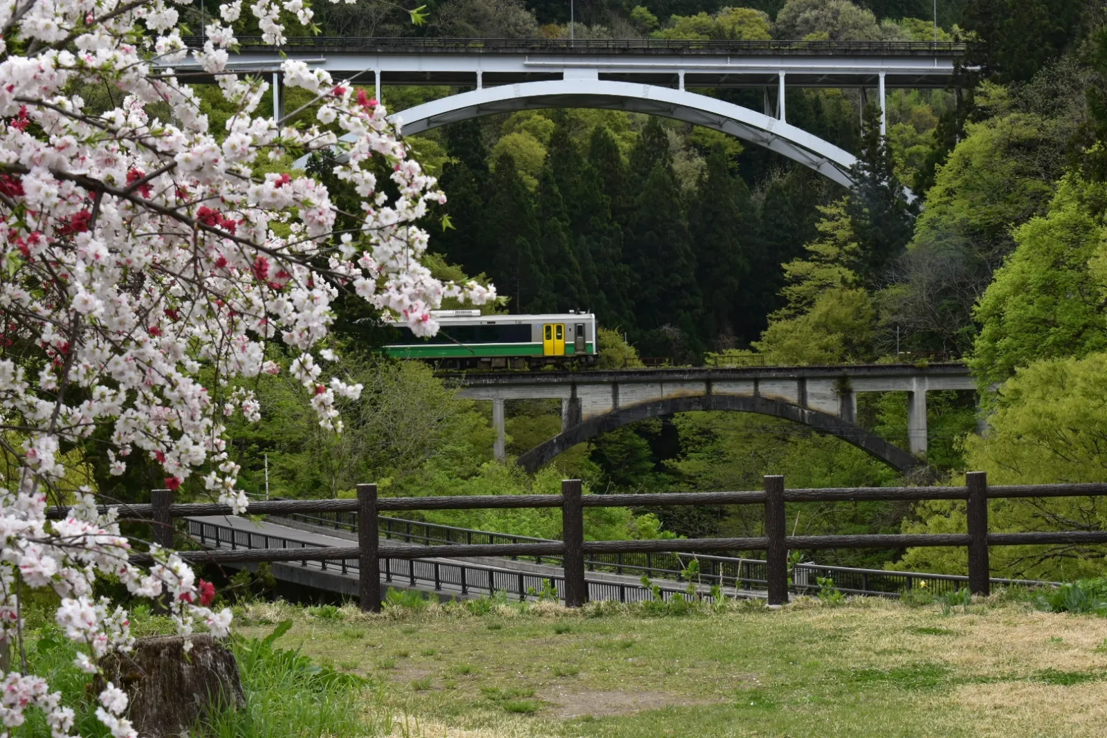 撮り鉄ではないのですが⋯。