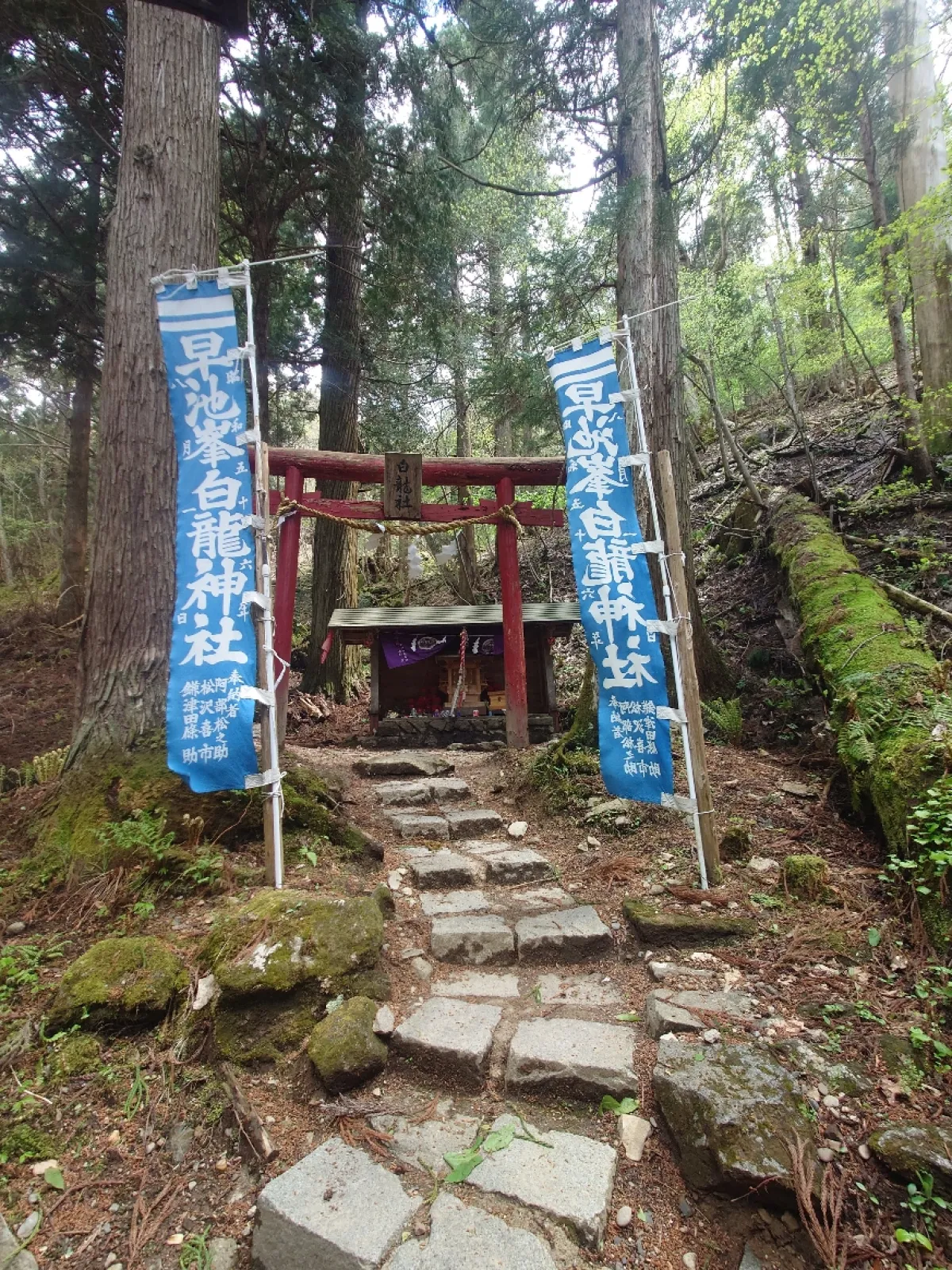 早池峰神社の境内の中、拝殿の向って右側の奥にある祠で「早池峰白龍神社」との幟がありました。
祠には笊が用意されていて、銭洗をする場所みたいでした。