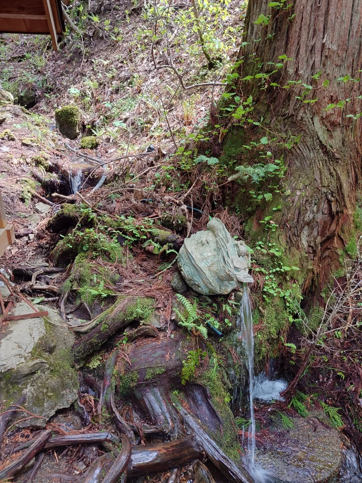 備え付けの笊で銭洗する為？の湧水。
取り敢えず、手持ちの小銭を全部、
笊に入れて洗ってみた。
ご利益があります様に・・・
