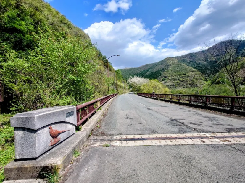 けがづなす橋（早池峯湖）