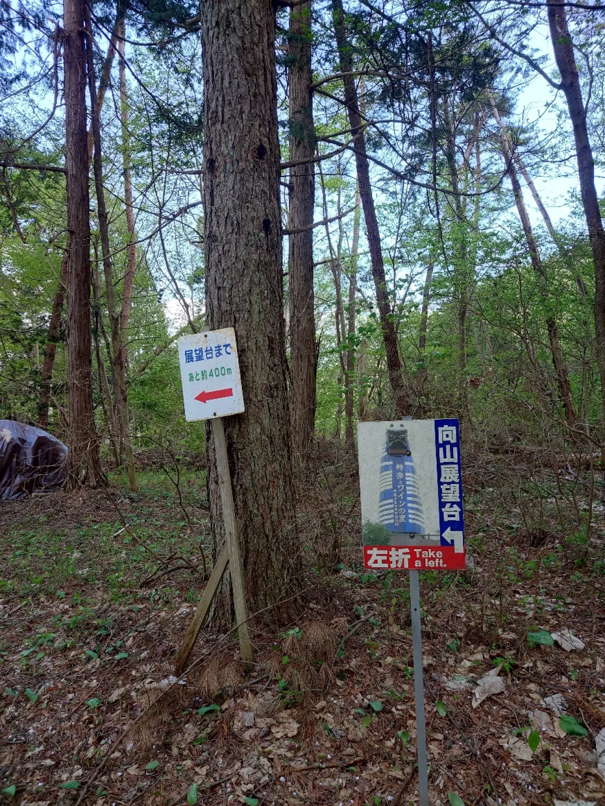 見晴らしの道（尾根）にある案内標識。
ここから４００mはくだり坂です。