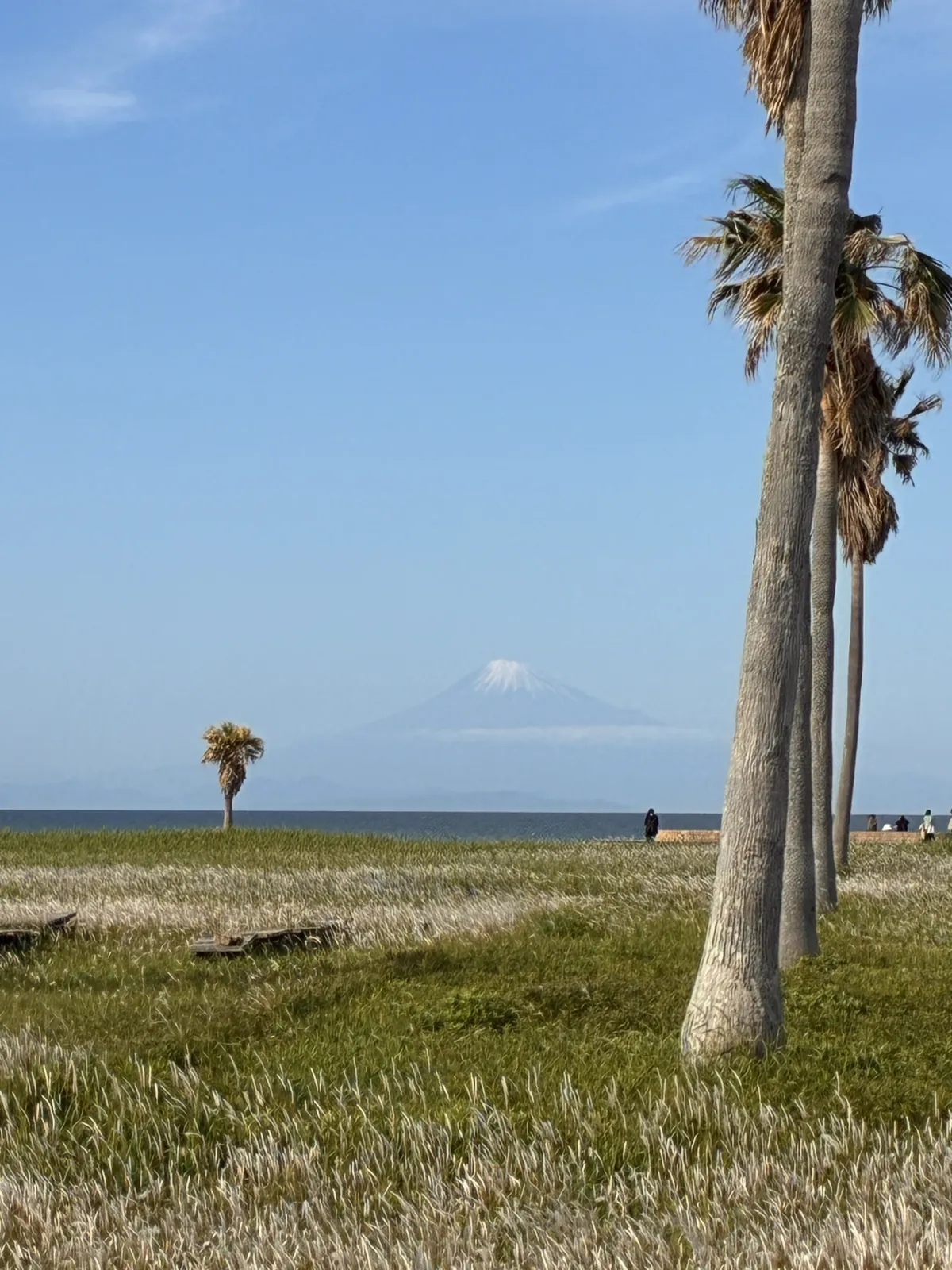 富士山が見えてました