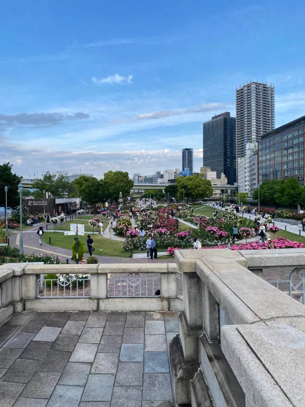 🌹中之島バラ園🌹