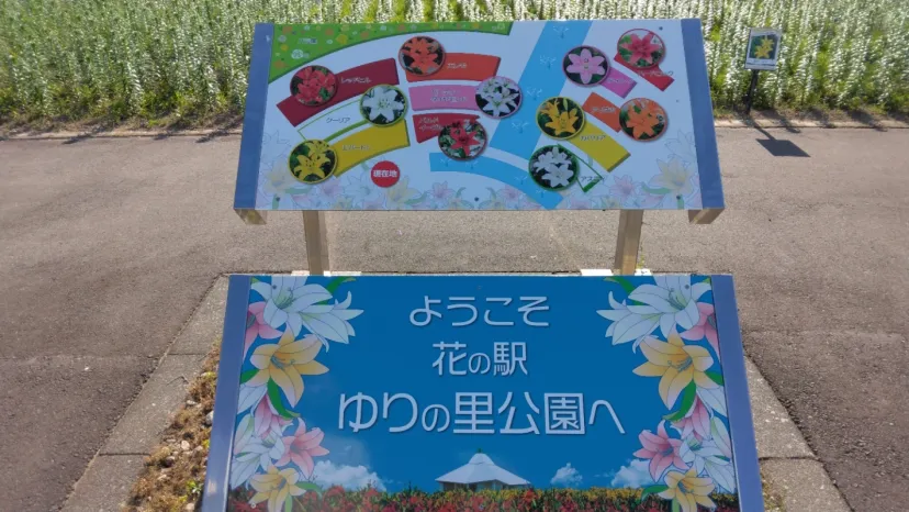 ゆりの里公園