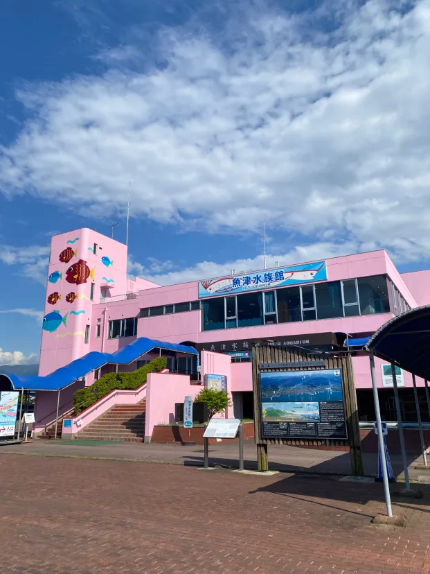 魚津水族館🦭