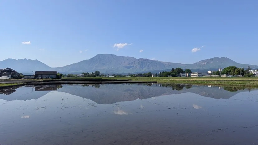 阿蘇の田んぼ🌾