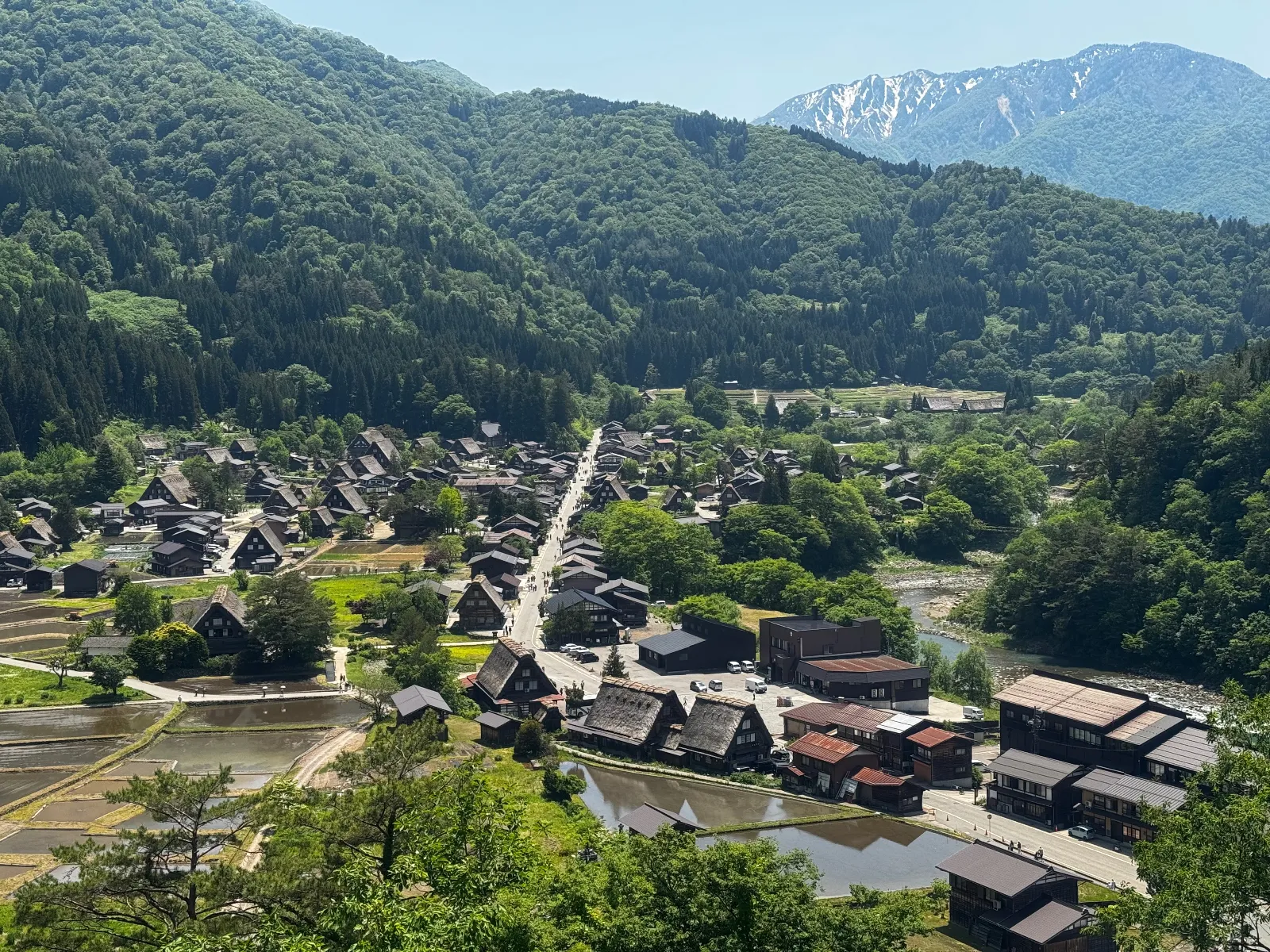 展望台より