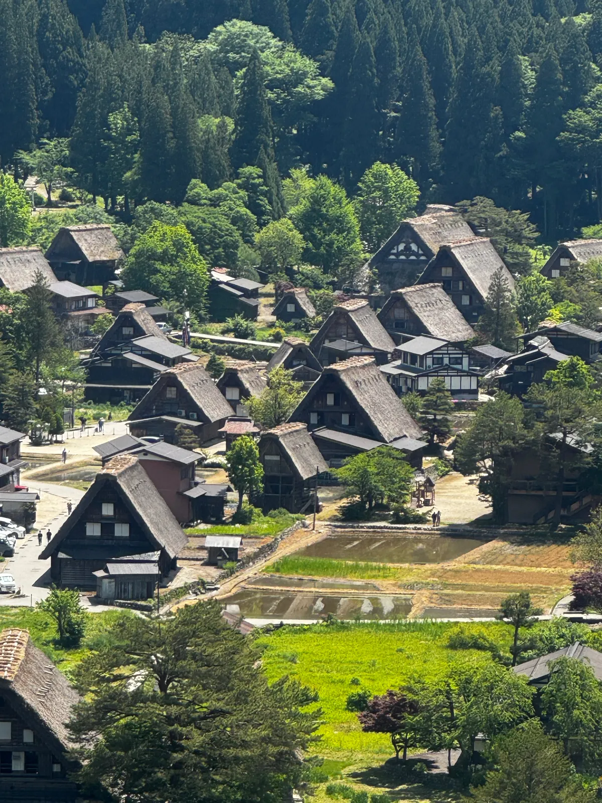 これぞTHE SHIRAKAGO