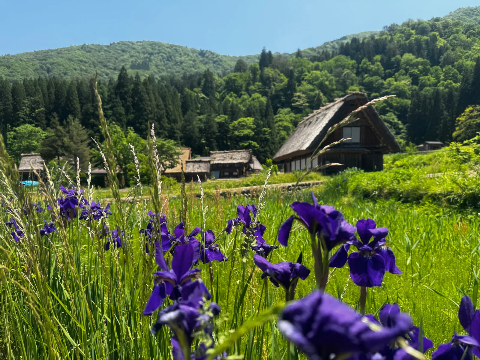 日本の原風景