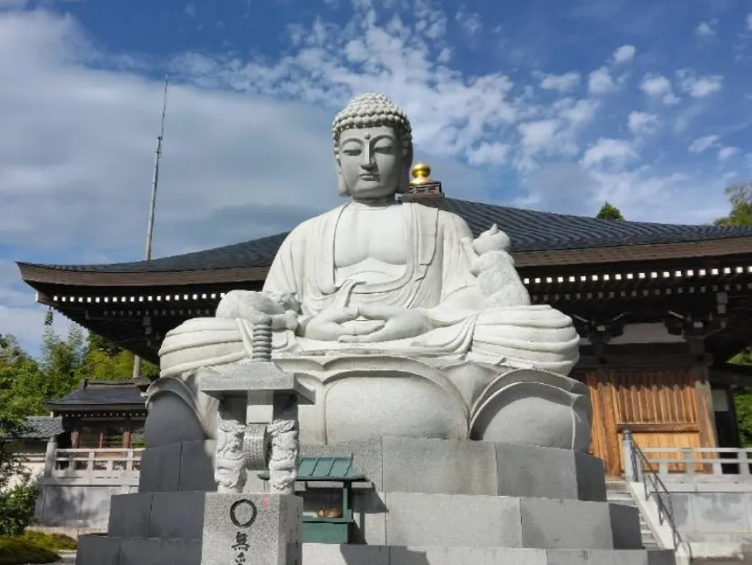 御誕生寺(猫寺)
