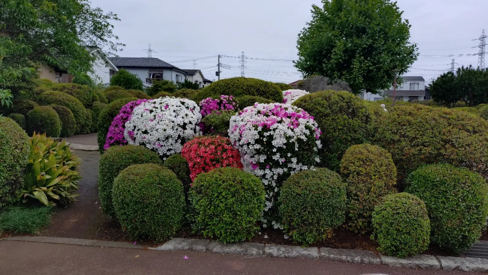 駐車場はないようです
