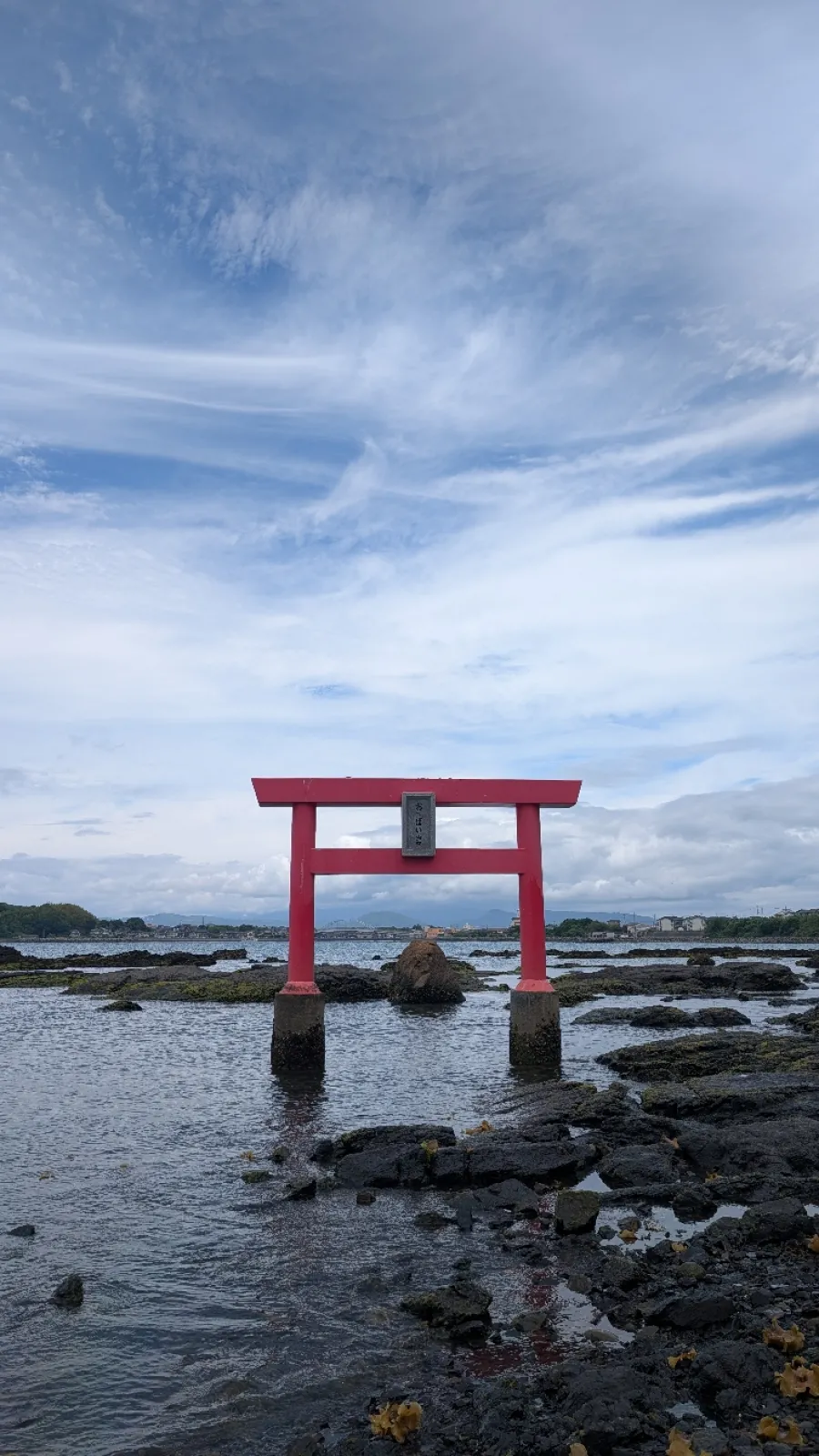 タイミングが悪く全貌は見えませんが、ちょい見せで❤️