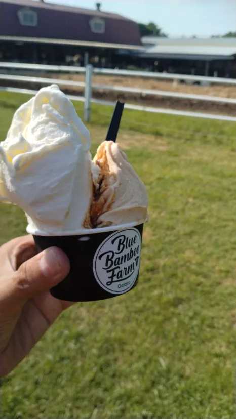 Blue Bamboo Farm / Cafe&Gelato