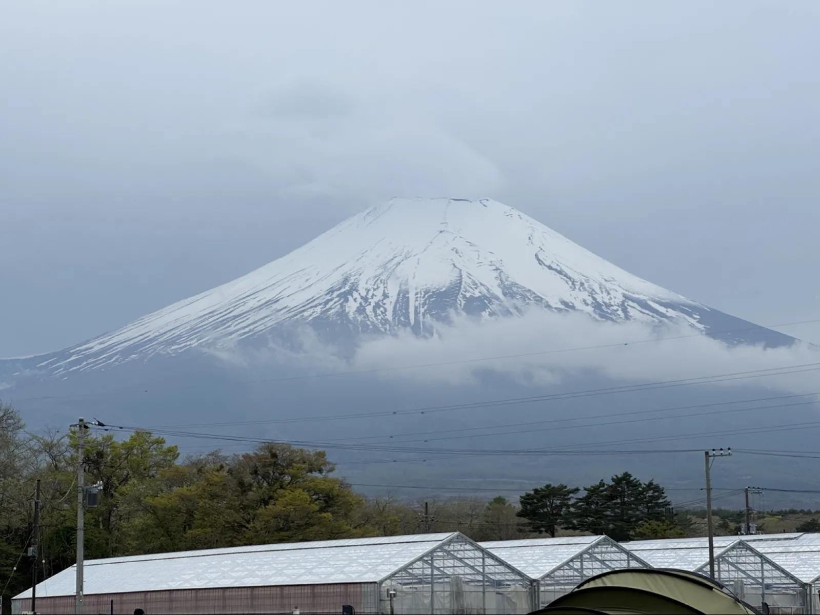 Mt. Fuji