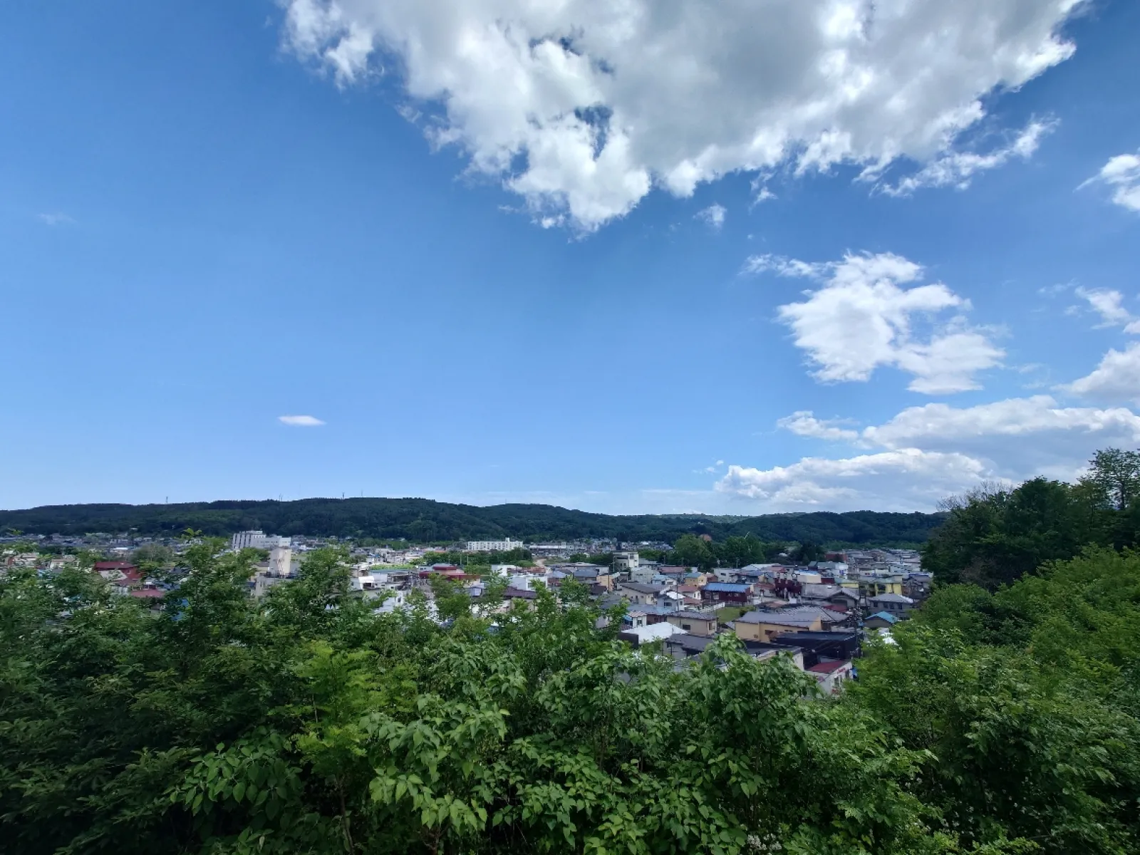 南東側はあまり面白くなかった。