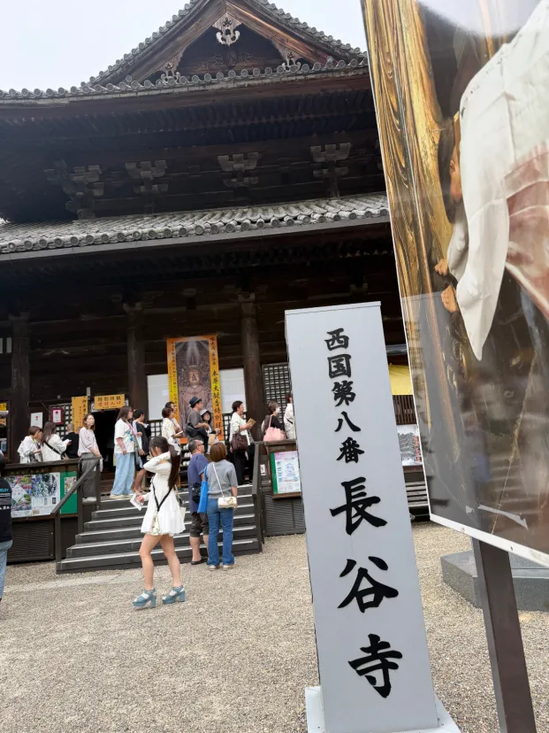 奈良 長谷寺 あじさい祭