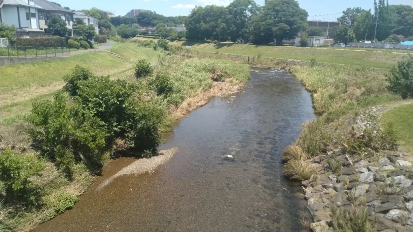 柳瀬川