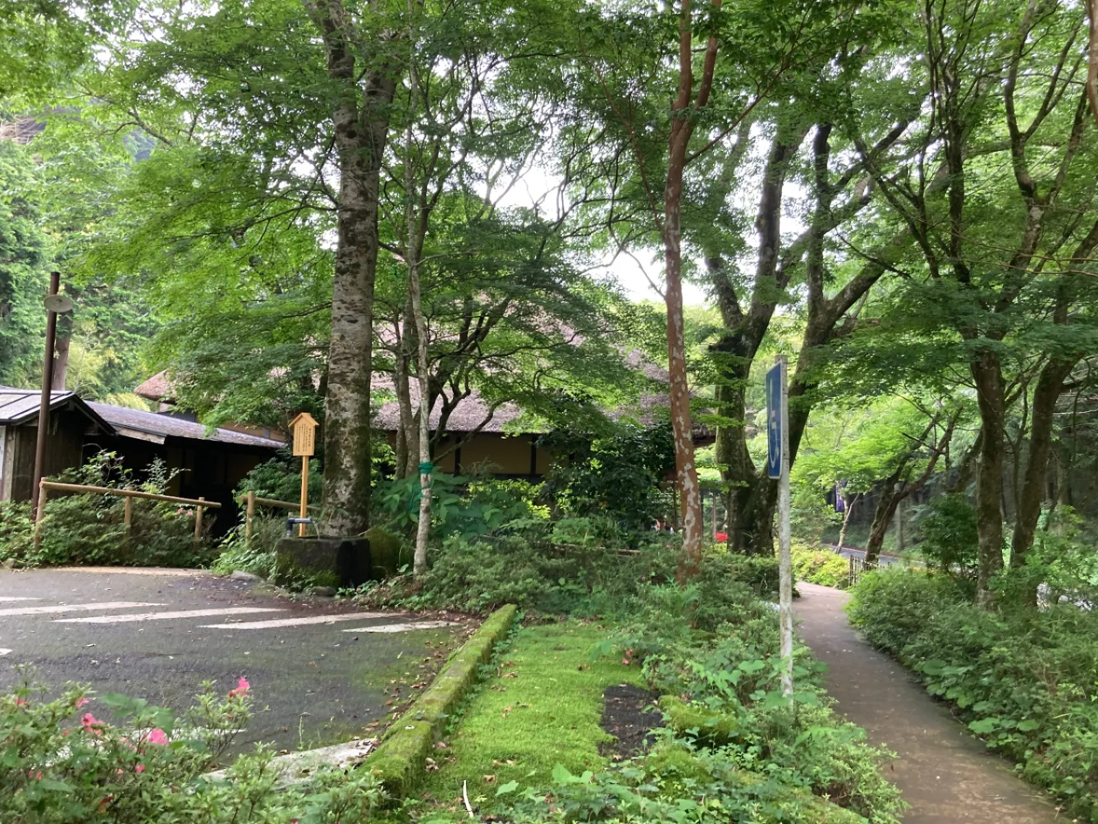 こちらは箱根路の甘酒茶屋。
参勤交代の大名行列の休憩や隊列の修正した場所である、こちらに来ました。