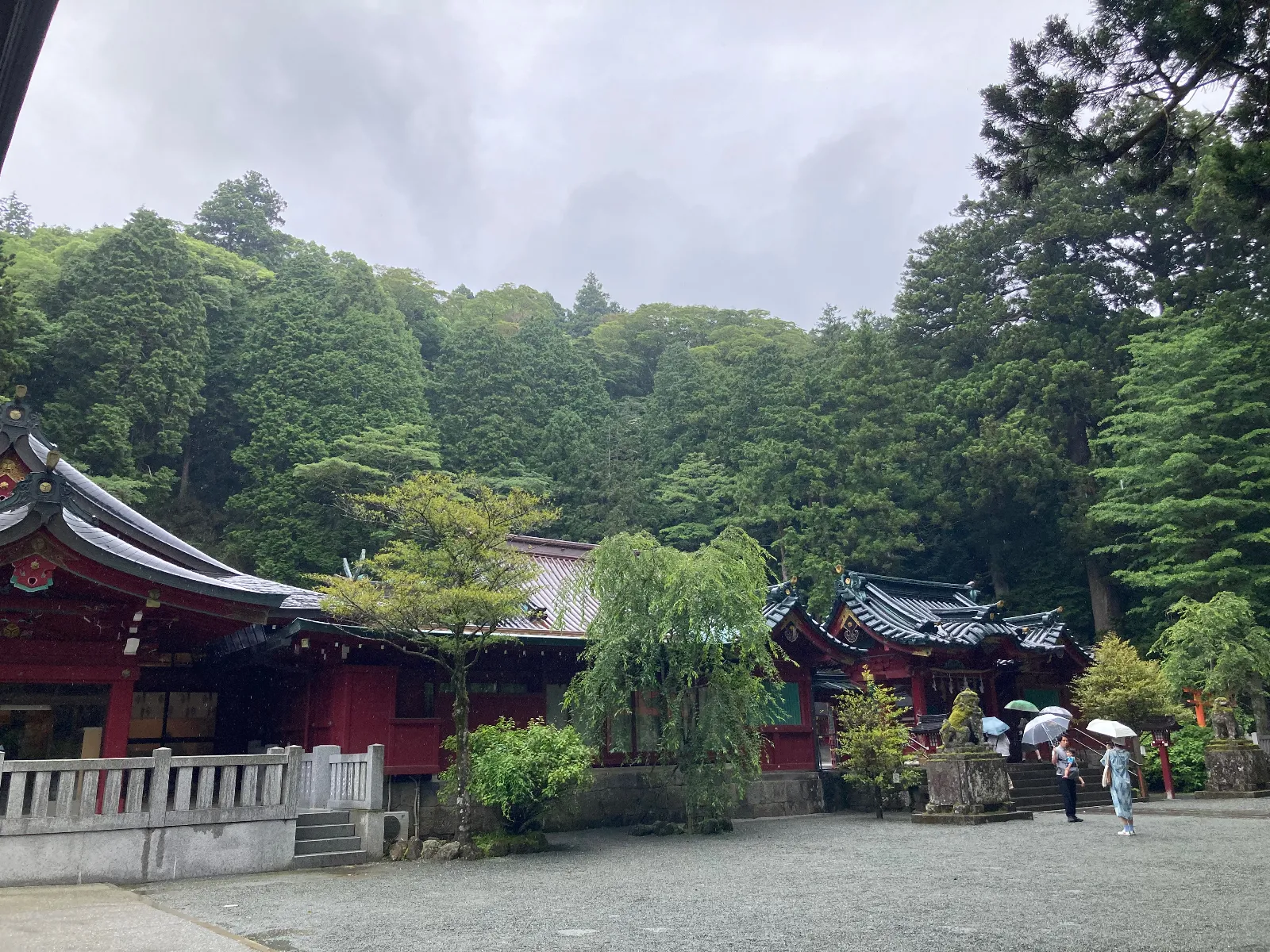 雨降りの箱根神社⛩️も本日は参拝者が少なくて比較的に落ち着いた雰囲気でした。
でも、インバウンドの方々は多いですね。


ではまた。