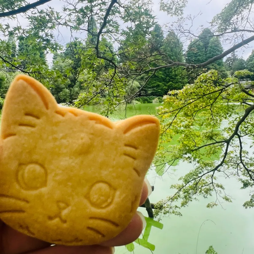 井の頭公園で猫のバターサンド