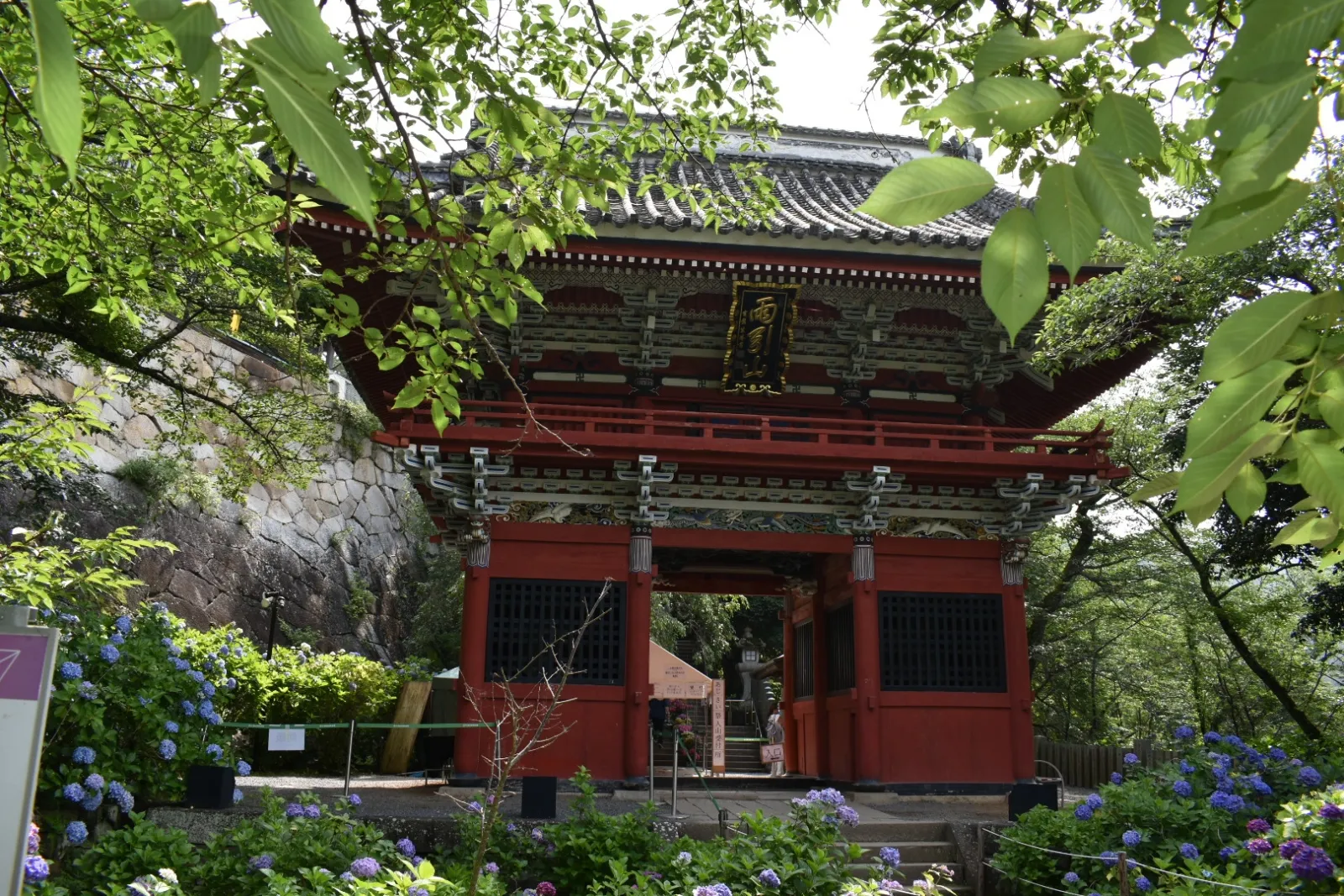 雨引観音のあじさい祭りに行ってきました。平日だったので空いててよかった😃