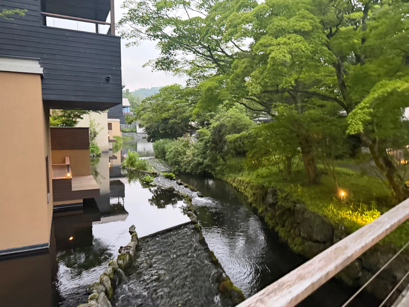 素敵なお庭をお散歩