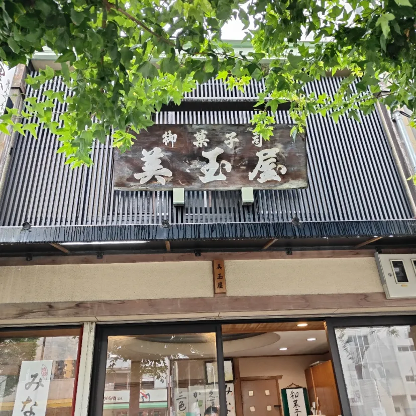 美玉屋　黒蜜だんご